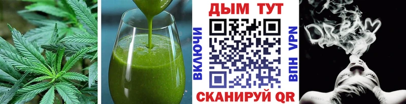 где купить наркотик  Гдов  Cannafood конопля 