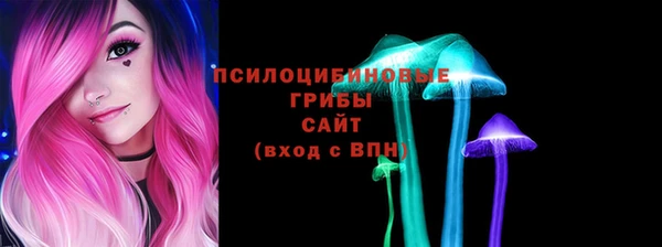 шишки Алексеевка