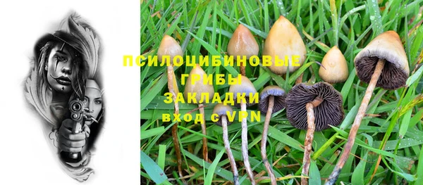 шишки Алексеевка