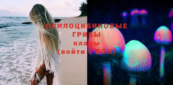 шишки Алексеевка